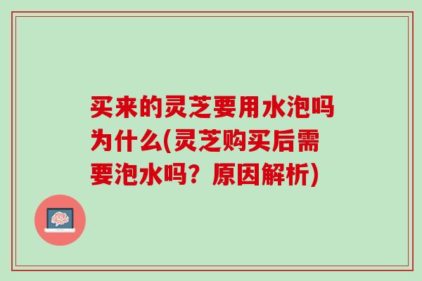 买来的灵芝要用水泡吗为什么(灵芝购买后需要泡水吗?原因解析) 买来的灵芝要用水泡吗为什么(灵芝购买后需要泡水吗?原因解析)