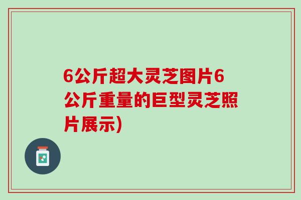 6公斤超大灵芝图片6公斤重量的巨型灵芝照片展示) 6公斤超大灵芝图片6公斤重量的巨型灵芝照片展示)