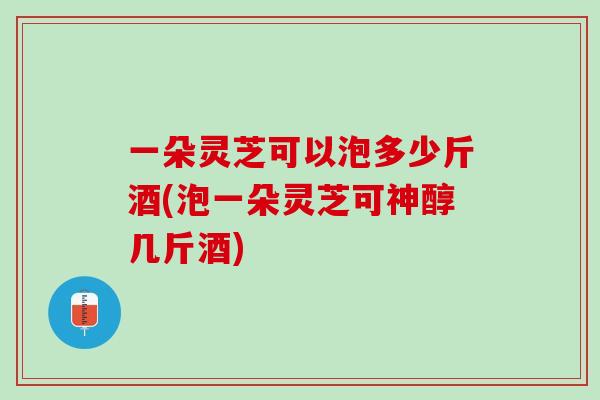 一朵灵芝可以泡多少斤酒(泡一朵灵芝可神醇几斤酒)