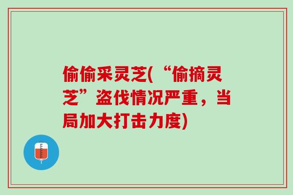 偷偷采灵芝(“偷摘灵芝”盗伐情况严重，当局加大打击力度)