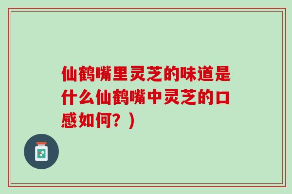 仙鹤嘴里灵芝的味道是什么仙鹤嘴中灵芝的口感如何？)