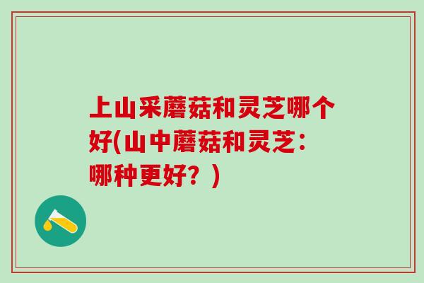 上山采蘑菇和灵芝哪个好(山中蘑菇和灵芝：哪种更好？)