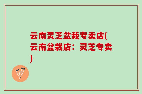 云南灵芝盆栽专卖店(云南盆栽店:灵芝专卖) 云南灵芝盆栽专卖店(云南盆栽店:灵芝专卖)