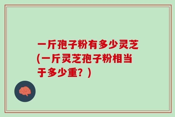 一斤孢子粉有多少灵芝(一斤灵芝孢子粉相当于多少重？)