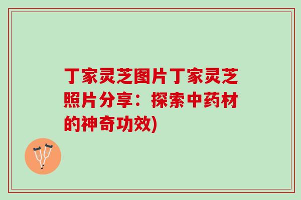 丁家灵芝图片丁家灵芝照片分享：探索中药材的神奇功效)