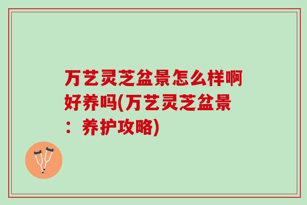 万艺灵芝盆景怎么样啊好养吗(万艺灵芝盆景：养护攻略)