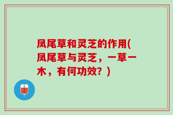 凤尾草和灵芝的作用(凤尾草与灵芝，一草一木，有何功效？)