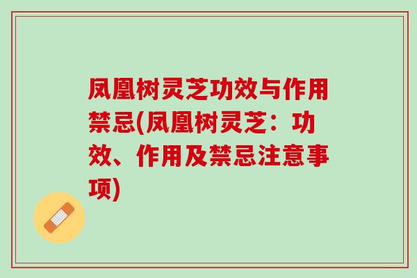 凤凰树灵芝功效与作用禁忌(凤凰树灵芝：功效、作用及禁忌注意事项)