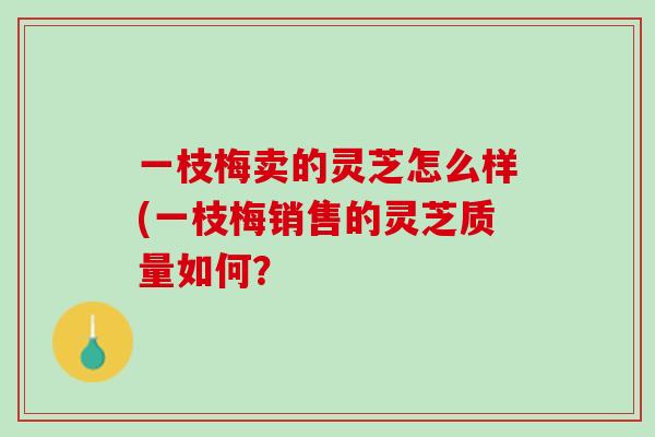 一枝梅卖的灵芝怎么样(一枝梅销售的灵芝质量如何？