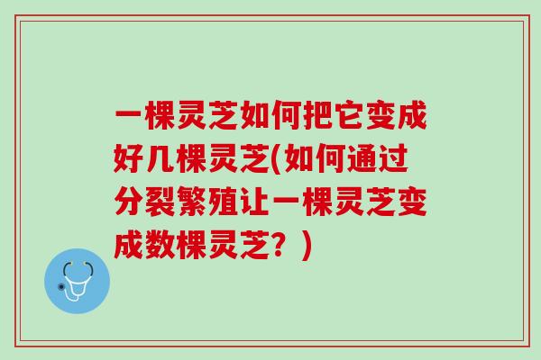 一棵灵芝如何把它变成好几棵灵芝(如何通过分裂繁殖让一棵灵芝变成数棵灵芝?) 一棵灵芝如何把它变成好几棵灵芝(如何通过分裂繁殖让一棵灵芝变成数棵灵芝?)