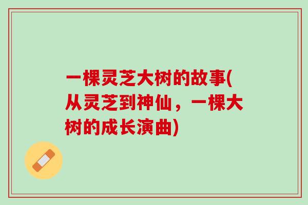 一棵灵芝大树的故事(从灵芝到神仙，一棵大树的成长演曲)