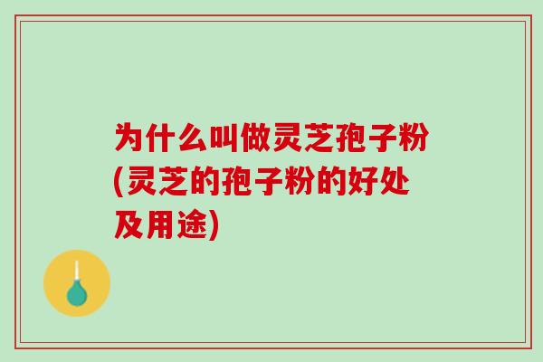 为什么叫做灵芝孢子粉(灵芝的孢子粉的好处及用途)