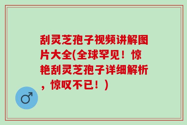刮灵芝孢子视频讲解图片大全(全球罕见！惊艳刮灵芝孢子详细解析，惊叹不已！)