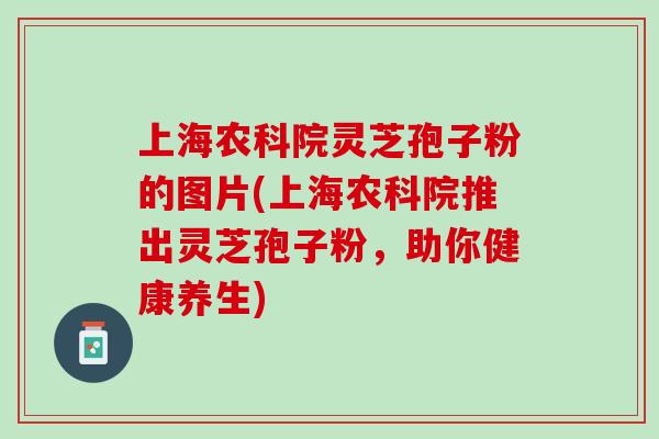上海农科院灵芝孢子粉的图片(上海农科院推出灵芝孢子粉，助你健康养生)