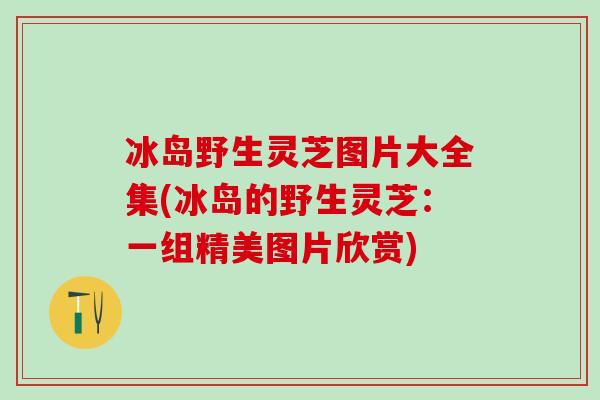 冰岛野生灵芝图片大全集(冰岛的野生灵芝：一组精美图片欣赏)