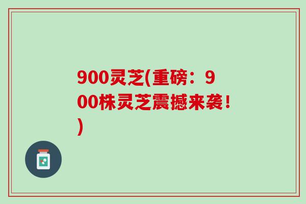 900灵芝(重磅：900株灵芝震撼来袭！)