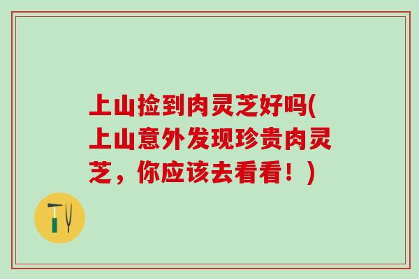 上山捡到肉灵芝好吗(上山意外发现珍贵肉灵芝，你应该去看看！)