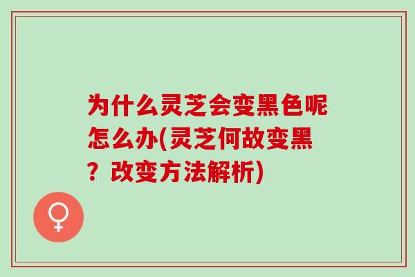 为什么灵芝会变黑色呢怎么办(灵芝何故变黑?改变方法解析) 为什么灵芝会变黑色呢怎么办(灵芝何故变黑?改变方法解析)