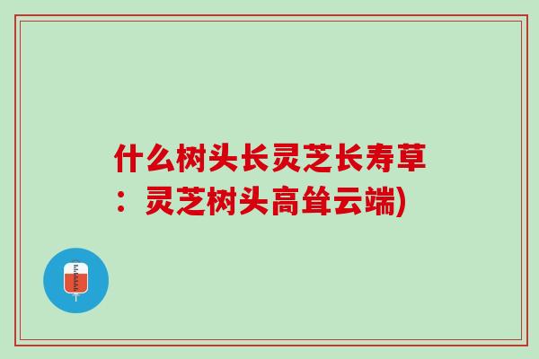 什么树头长灵芝长寿草:灵芝树头高耸云端) 什么树头长灵芝长寿草:灵芝树头高耸云端)