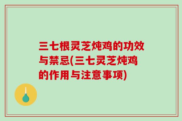 三七根灵芝炖鸡的功效与禁忌(三七灵芝炖鸡的作用与注意事项)