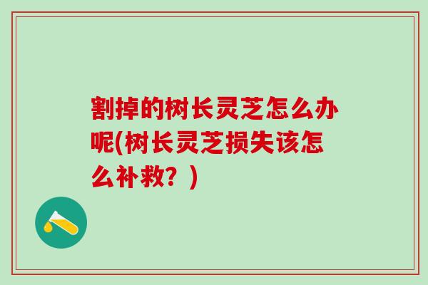 割掉的树长灵芝怎么办呢(树长灵芝损失该怎么补救？)