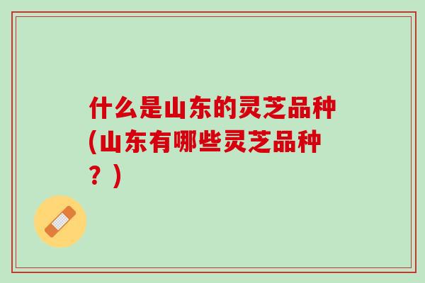 什么是山东的灵芝品种(山东有哪些灵芝品种?) 什么是山东的灵芝品种(山东有哪些灵芝品种?)