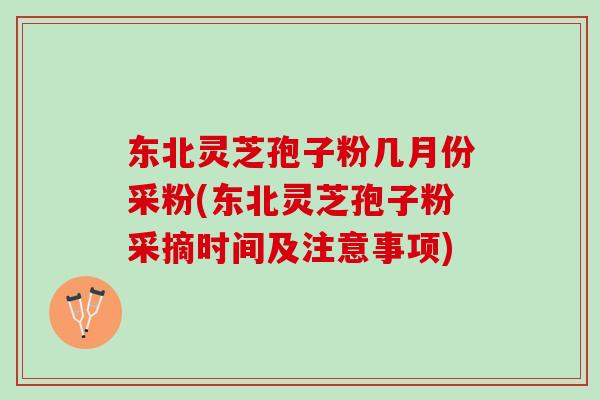 东北灵芝孢子粉几月份采粉(东北灵芝孢子粉采摘时间及注意事项)