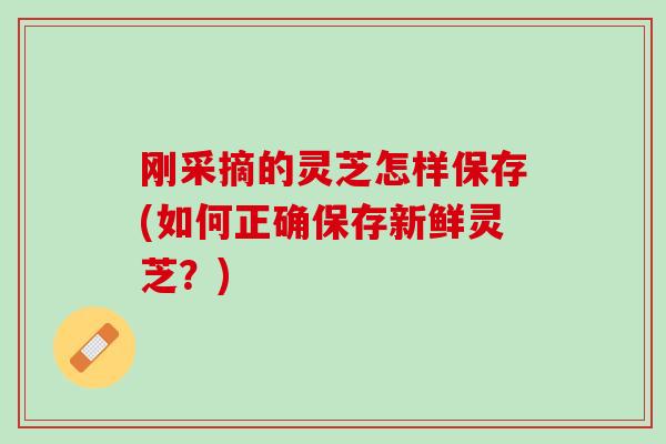 刚采摘的灵芝怎样保存(如何正确保存新鲜灵芝?) 刚采摘的灵芝怎样保存(如何正确保存新鲜灵芝?)