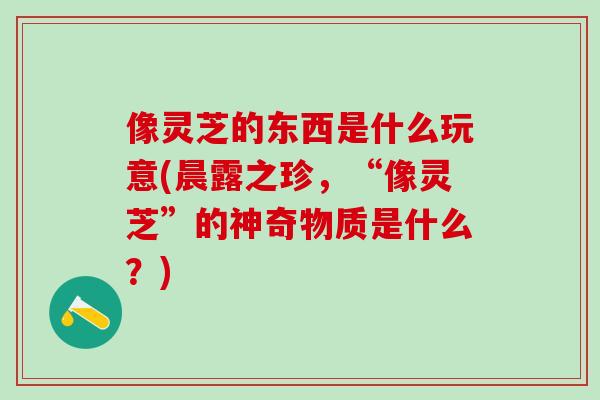 像灵芝的东西是什么玩意(晨露之珍，“像灵芝”的神奇物质是什么？)