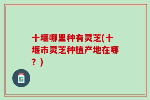 十堰哪里种有灵芝(十堰市灵芝种植产地在哪？)