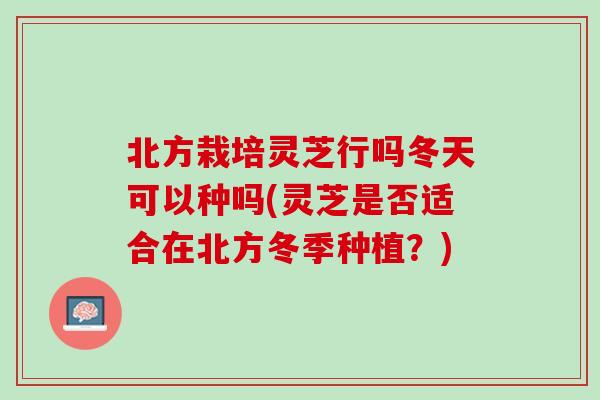 北方栽培灵芝行吗冬天可以种吗(灵芝是否适合在北方冬季种植？)