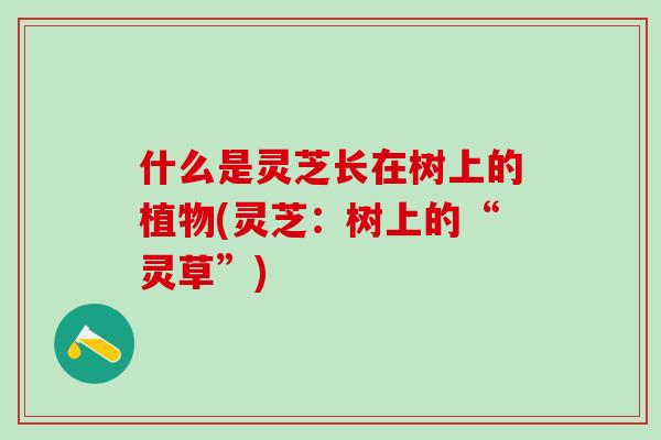 什么是灵芝长在树上的植物(灵芝：树上的“灵草”)