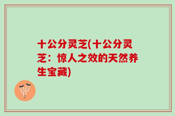 十公分灵芝(十公分灵芝:惊人之效的天然养生宝藏) 十公分灵芝(十公分灵芝:惊人之效的天然养生宝藏)