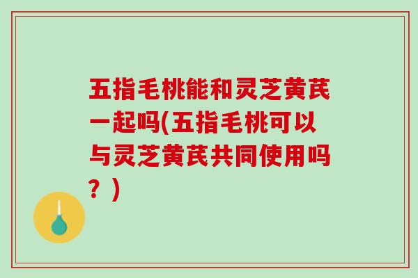 五指毛桃能和灵芝黄芪一起吗(五指毛桃可以与灵芝黄芪共同使用吗？)