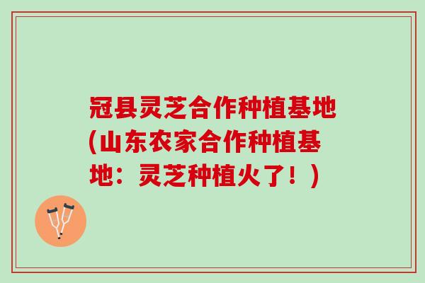 冠县灵芝合作种植基地(山东农家合作种植基地：灵芝种植火了！)