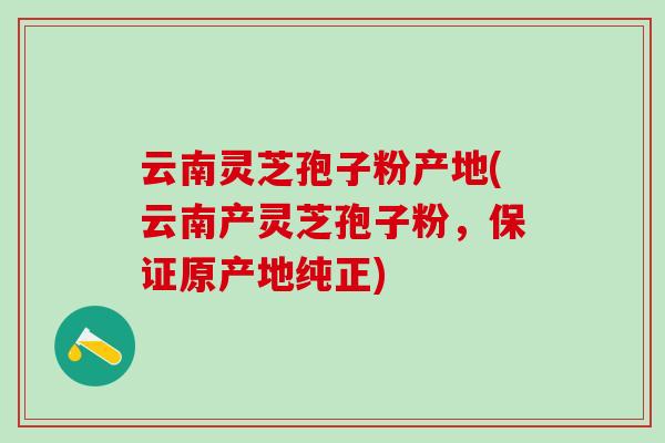 云南灵芝孢子粉产地(云南产灵芝孢子粉，保证原产地纯正)