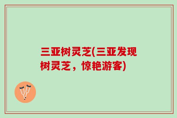 三亚树灵芝(三亚发现树灵芝，惊艳游客)