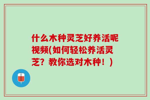 什么木种灵芝好养活呢视频(如何轻松养活灵芝?教你选对木种!) 什么木种灵芝好养活呢视频(如何轻松养活灵芝?教你选对木种!)