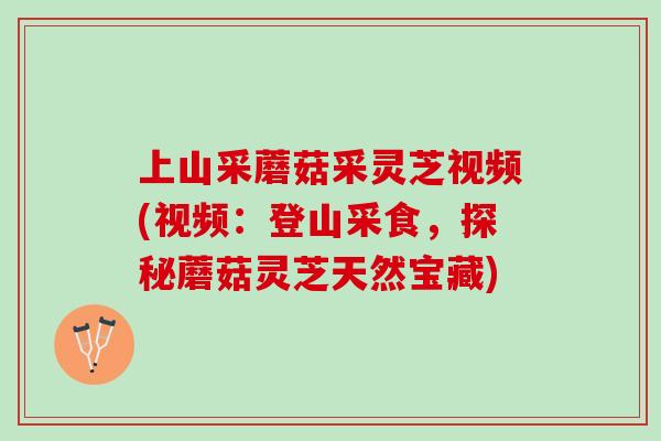 上山采蘑菇采灵芝视频(视频：登山采食，探秘蘑菇灵芝天然宝藏)