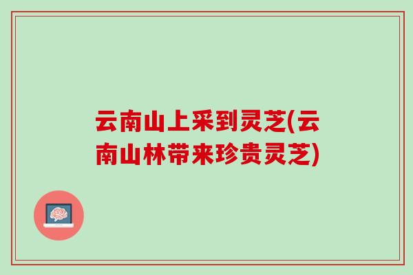 云南山上采到灵芝(云南山林带来珍贵灵芝)