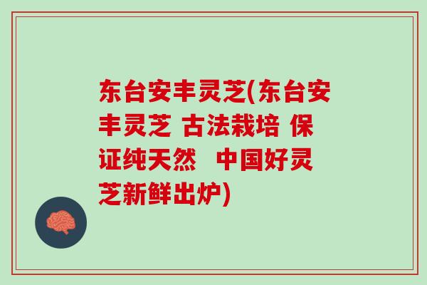东台安丰灵芝(东台安丰灵芝 古法栽培 保证纯天然 中国好灵芝新鲜出炉) 东台安丰灵芝(东台安丰灵芝 古法栽培 保证纯天然 中国好灵芝新鲜出炉)