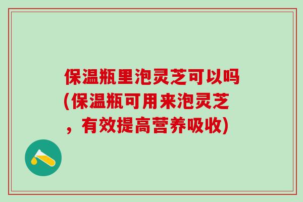 保温瓶里泡灵芝可以吗(保温瓶可用来泡灵芝，有效提高营养吸收)