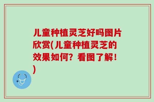儿童种植灵芝好吗图片欣赏(儿童种植灵芝的效果如何？看图了解！)