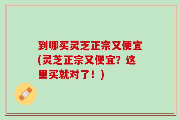 到哪买灵芝正宗又便宜(灵芝正宗又便宜？这里买就对了！)