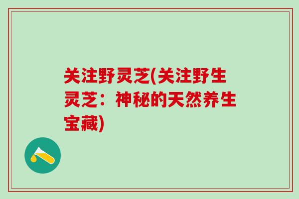 关注野灵芝(关注野生灵芝：神秘的天然养生宝藏)