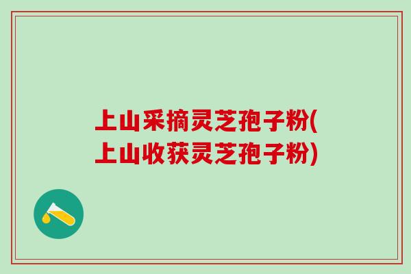 上山采摘灵芝孢子粉(上山收获灵芝孢子粉)