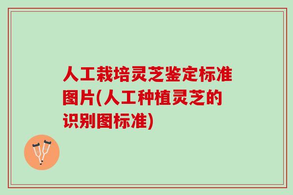 人工栽培灵芝鉴定标准图片(人工种植灵芝的识别图标准)