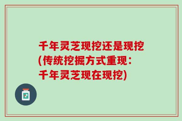千年灵芝现挖还是现挖(传统挖掘方式重现：千年灵芝现在现挖)