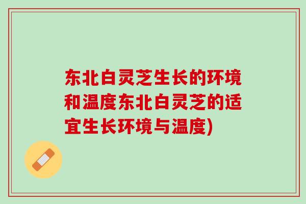 东北白灵芝生长的环境和温度东北白灵芝的适宜生长环境与温度) 东北白灵芝生长的环境和温度东北白灵芝的适宜生长环境与温度)