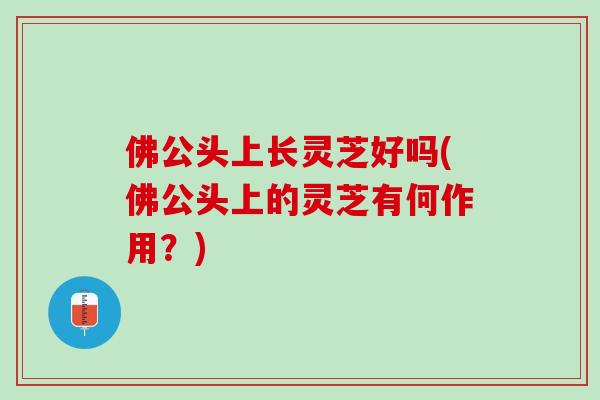 佛公头上长灵芝好吗(佛公头上的灵芝有何作用?) 佛公头上长灵芝好吗(佛公头上的灵芝有何作用?)